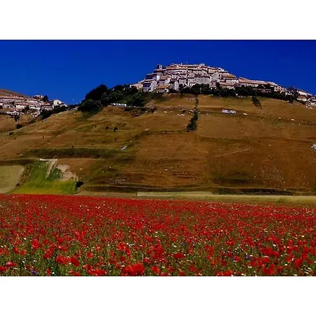 Le Acacie Felici Casa de Campo *