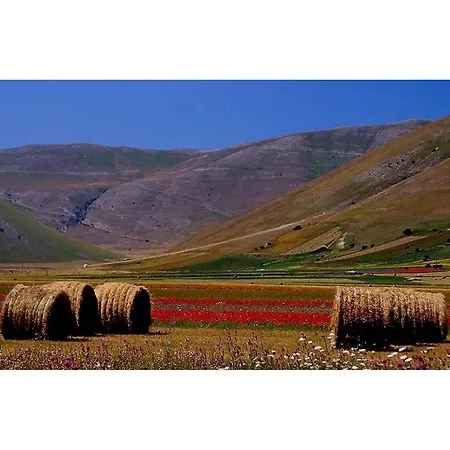 Le Acacie Felici Terni