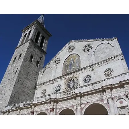 Le Acacie Felici