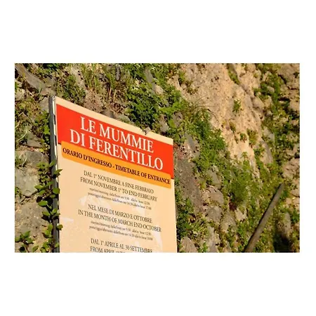 Le Acacie Felici *